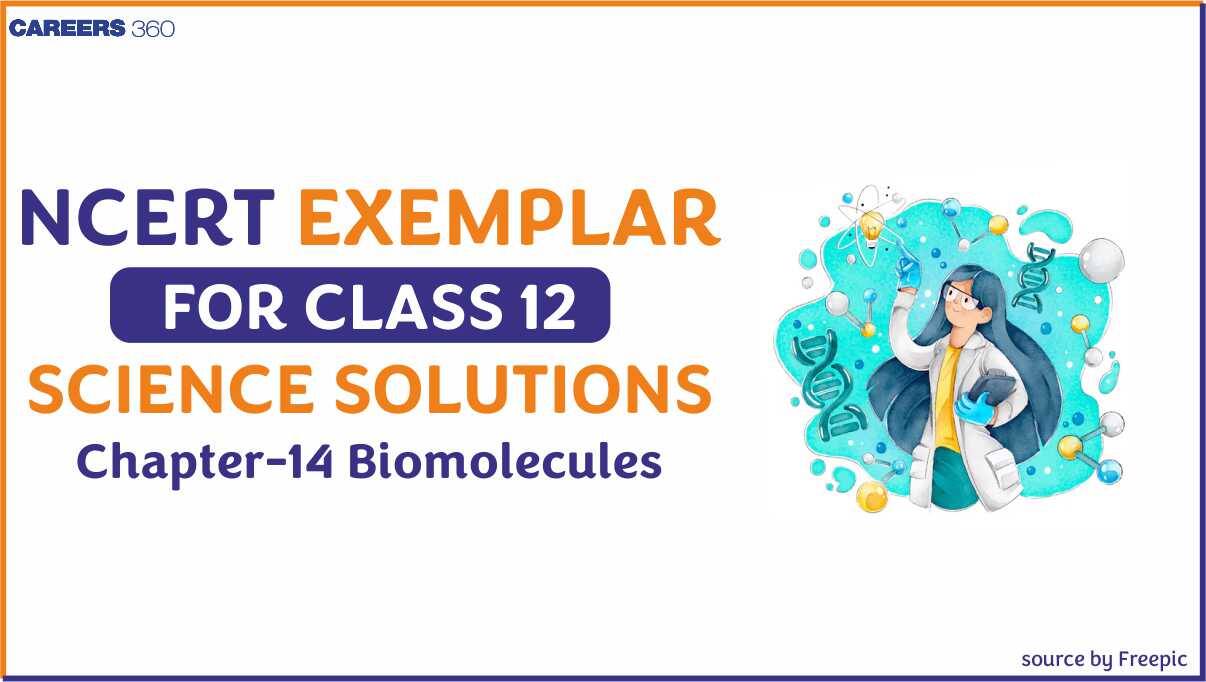 NCERT Exemplar Class 12 Chemistry Solutions chapter 14 Biomolecules